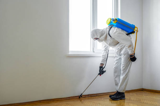 Best Local Pest Control Services  in West Livingston, TX