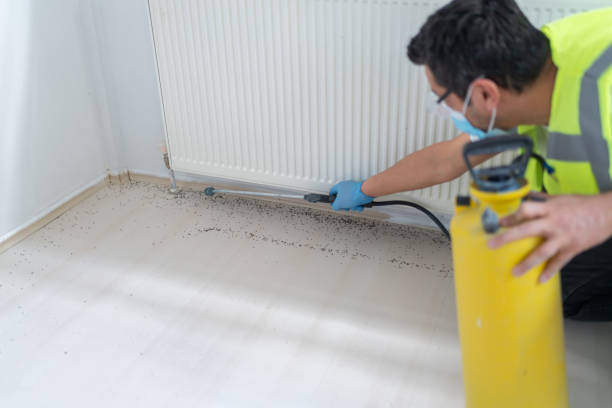 Best Best Pest Control Companies  in West Livingston, TX
