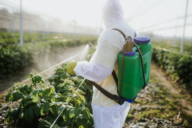 Best Cockroach Control Services  in West Livingston, TX
